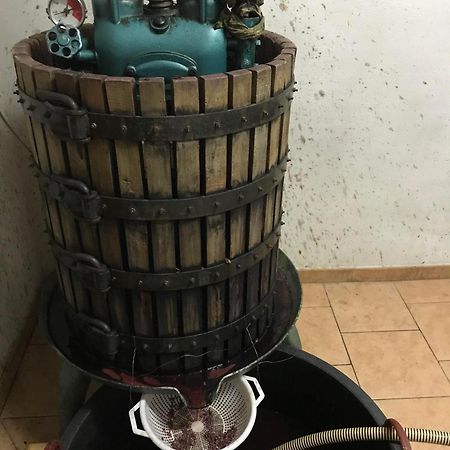 Agriturismo Il Melo Valfabbrica Esterno foto
