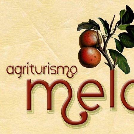 Agriturismo Il Melo Valfabbrica Esterno foto