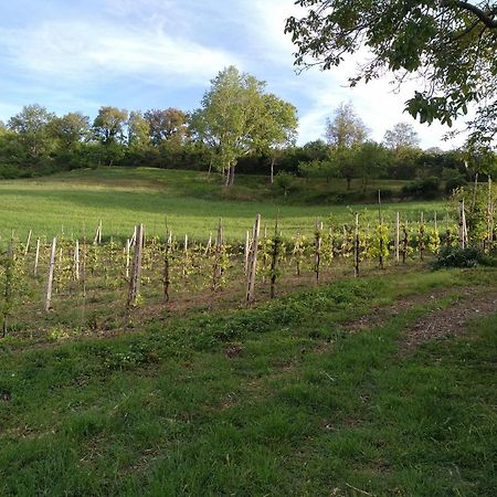 Agriturismo Il Melo Valfabbrica Esterno foto