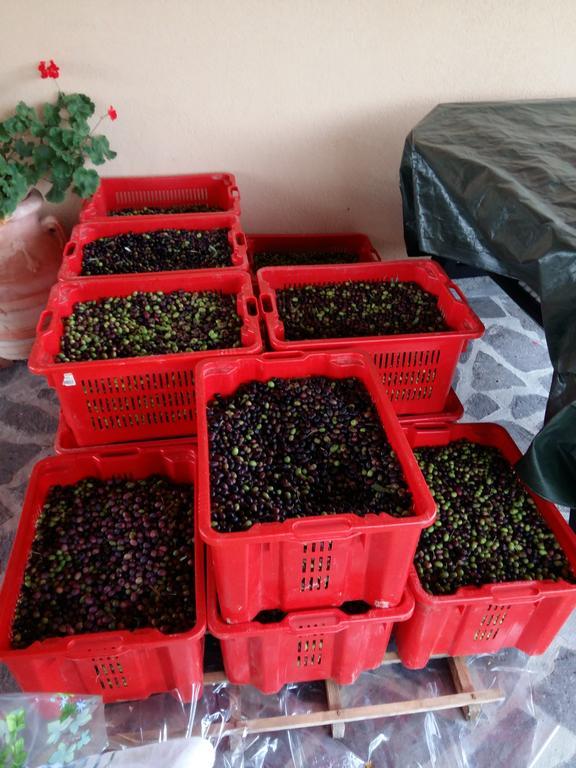 Agriturismo Il Melo Valfabbrica Esterno foto