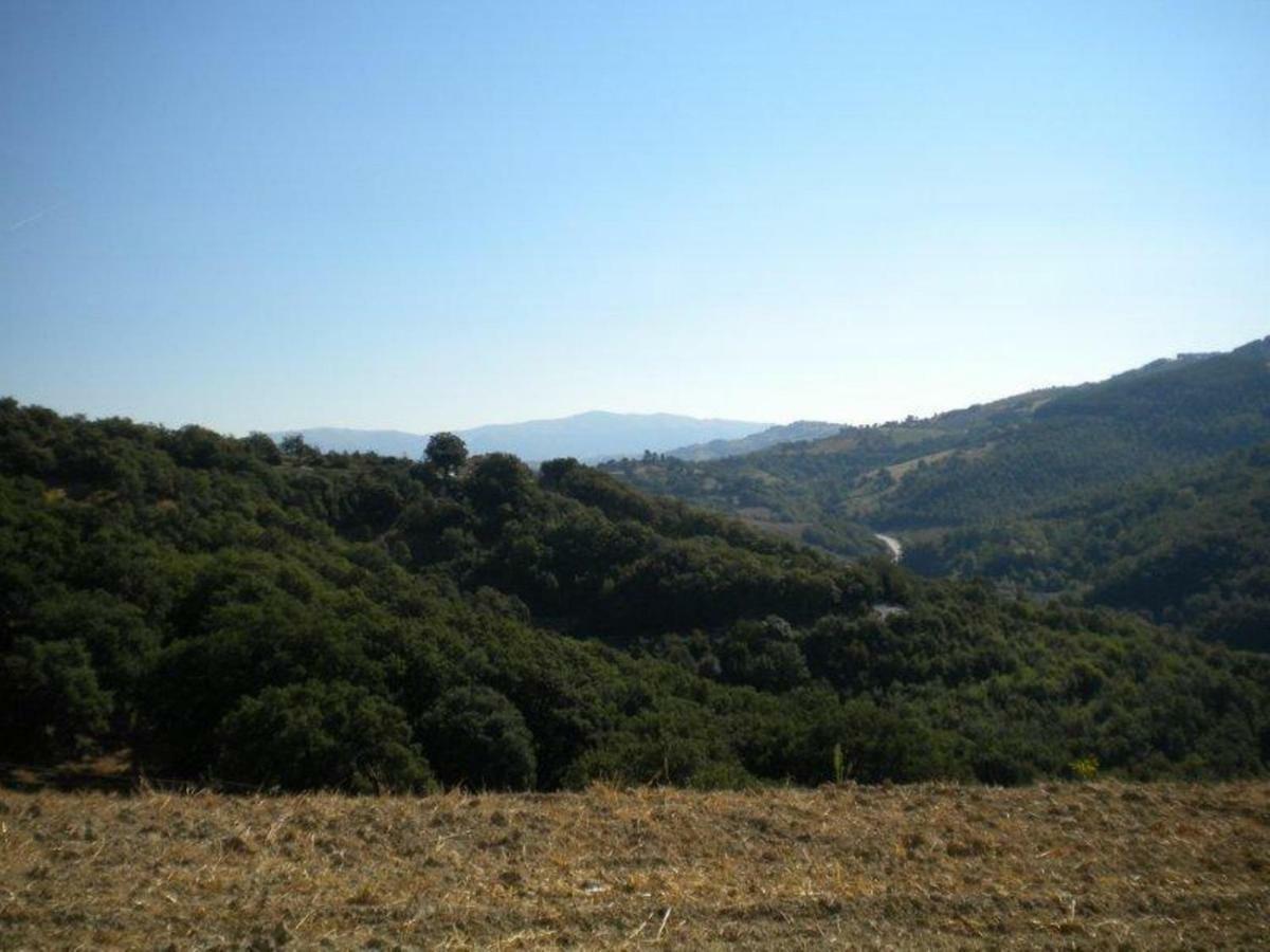 Agriturismo Il Melo Valfabbrica Esterno foto