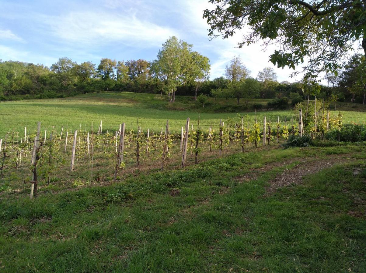 Agriturismo Il Melo Valfabbrica Esterno foto